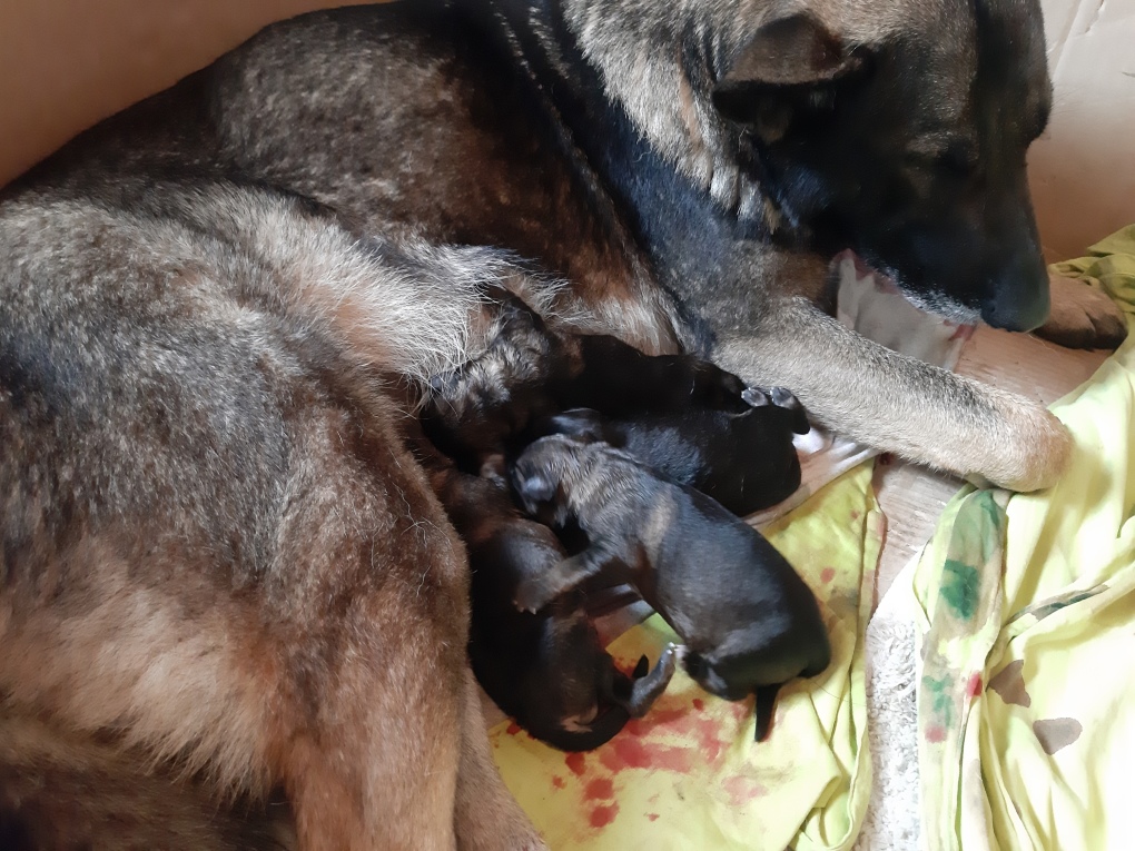 geboren am 02.06.2020